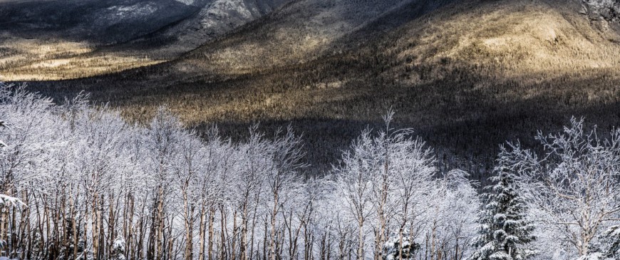 Quand partir au Québec pour profiter de cette belle province en famille ?